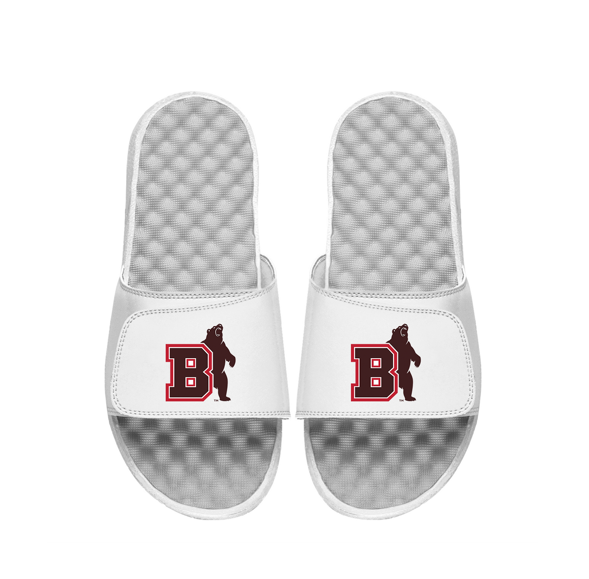 Brown University Bear Logo