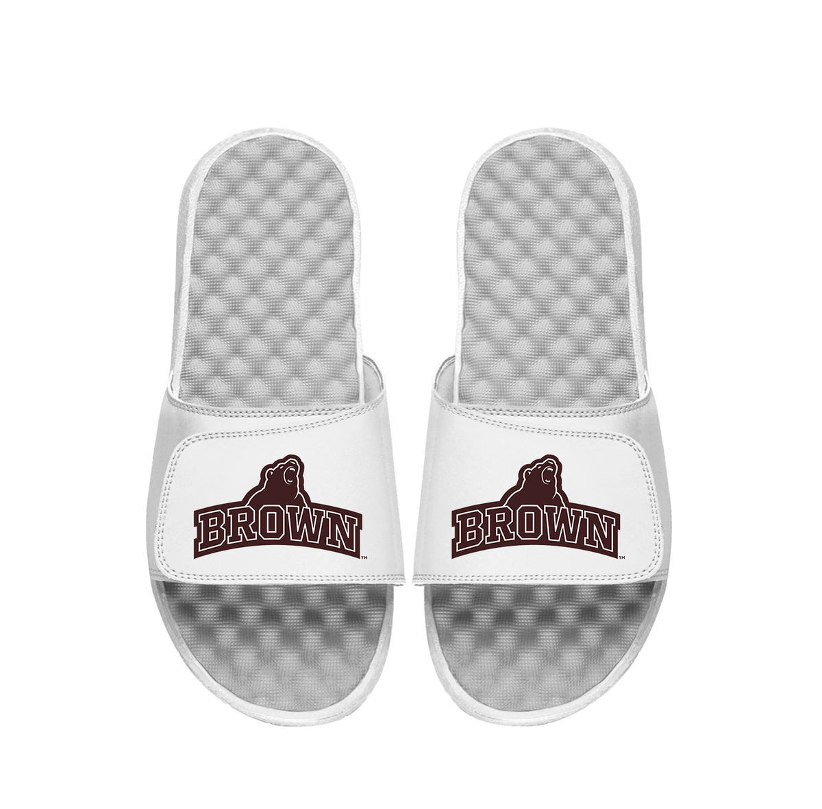 Brown University Mascot Wordmark