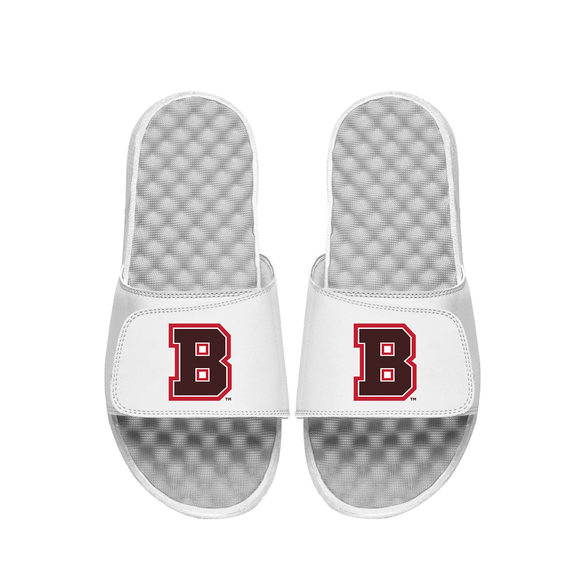 Brown University Primary