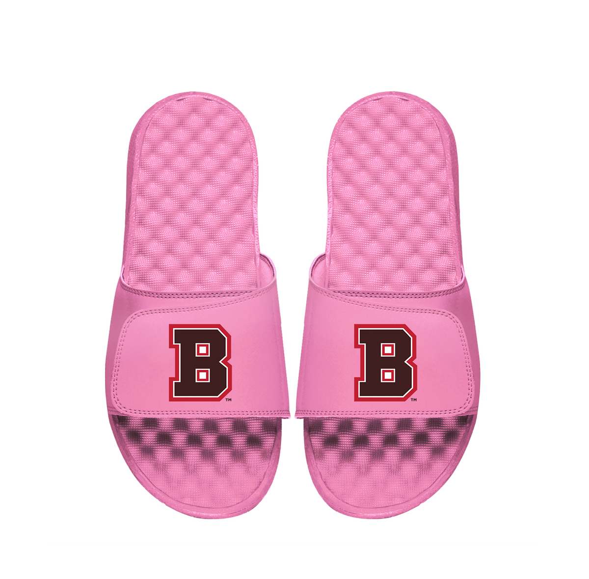 Brown University Primary