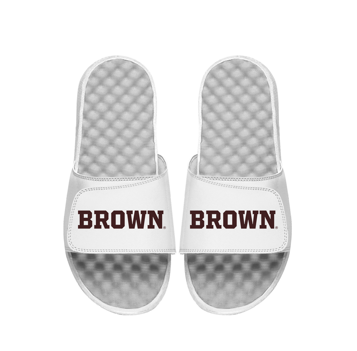 Brown University Wordmark