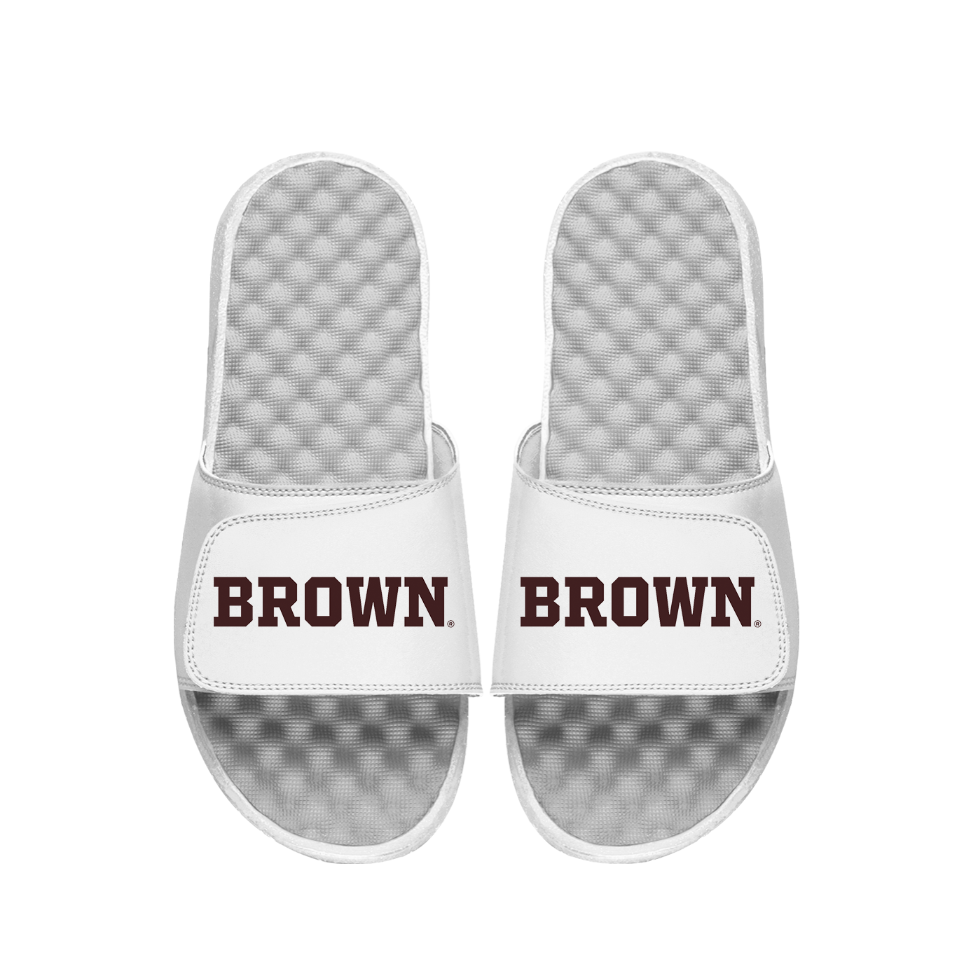Brown University Wordmark