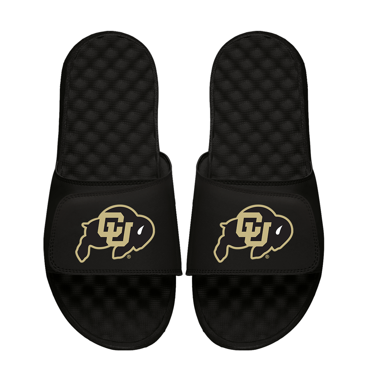 Colorado Boulder Primary Logo