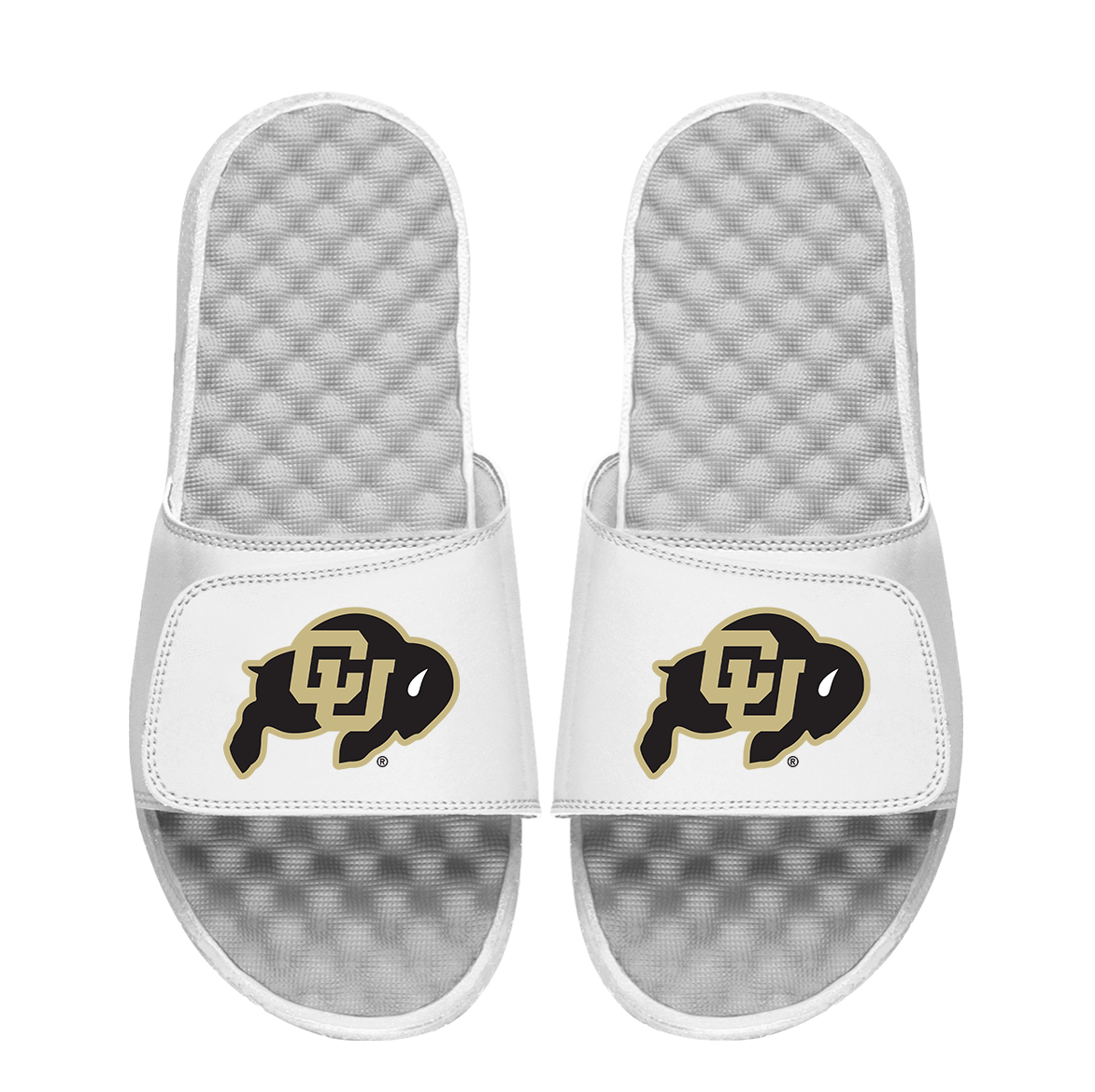 Colorado Boulder Primary Logo