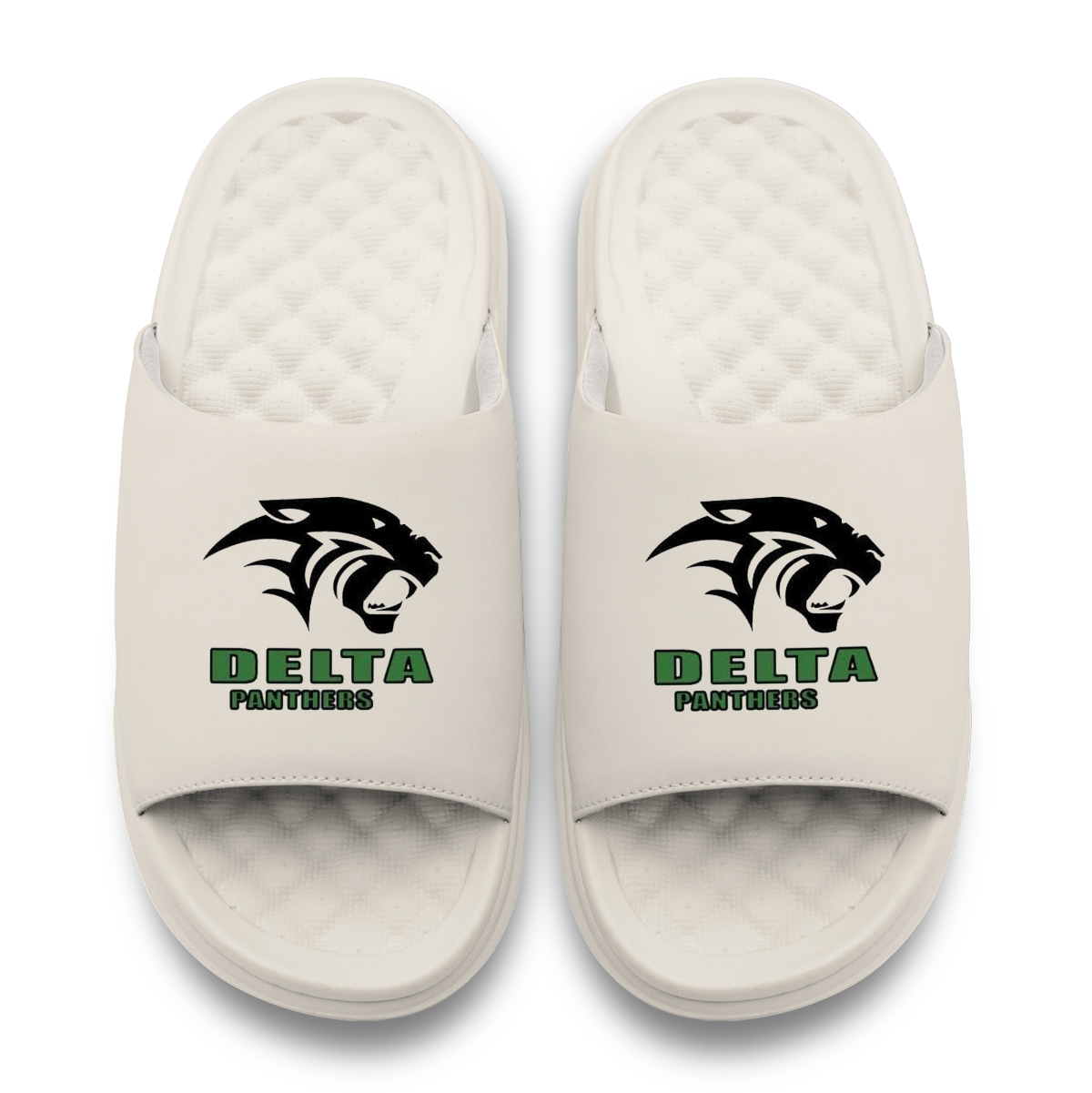 Adrenaline Delta Panthers Motive