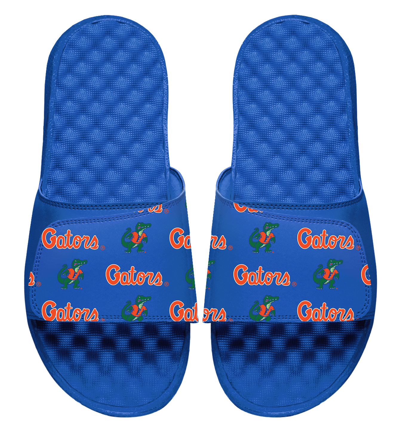 DP Gators All Over