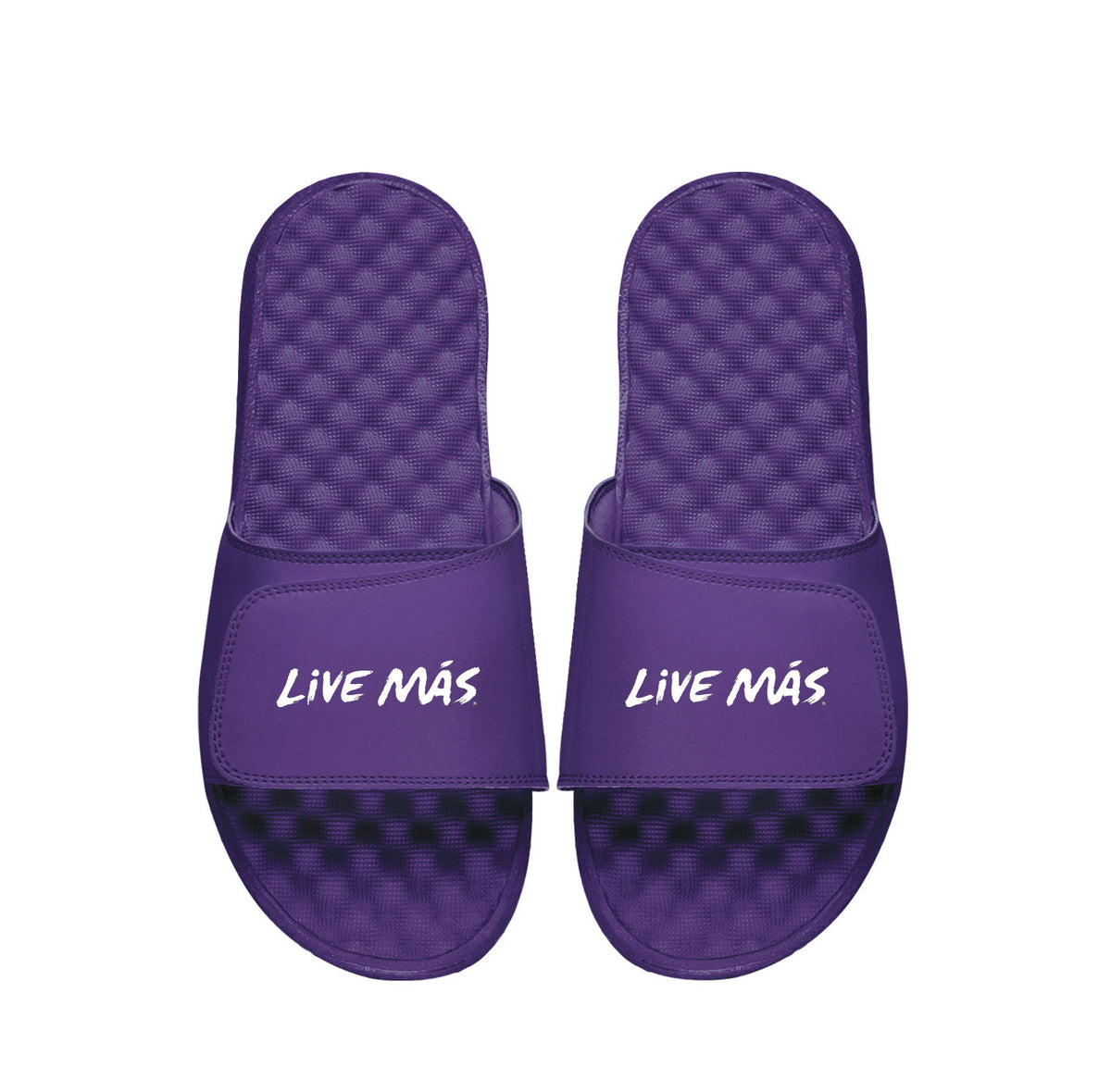 Live Mas TB Slides