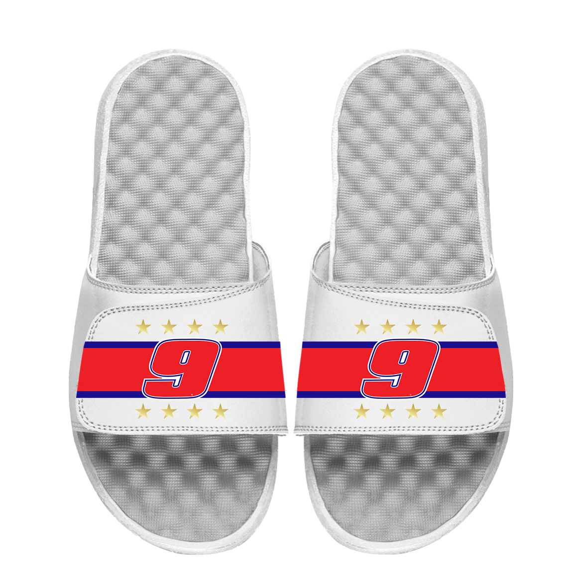 Chase Elliott Stripe