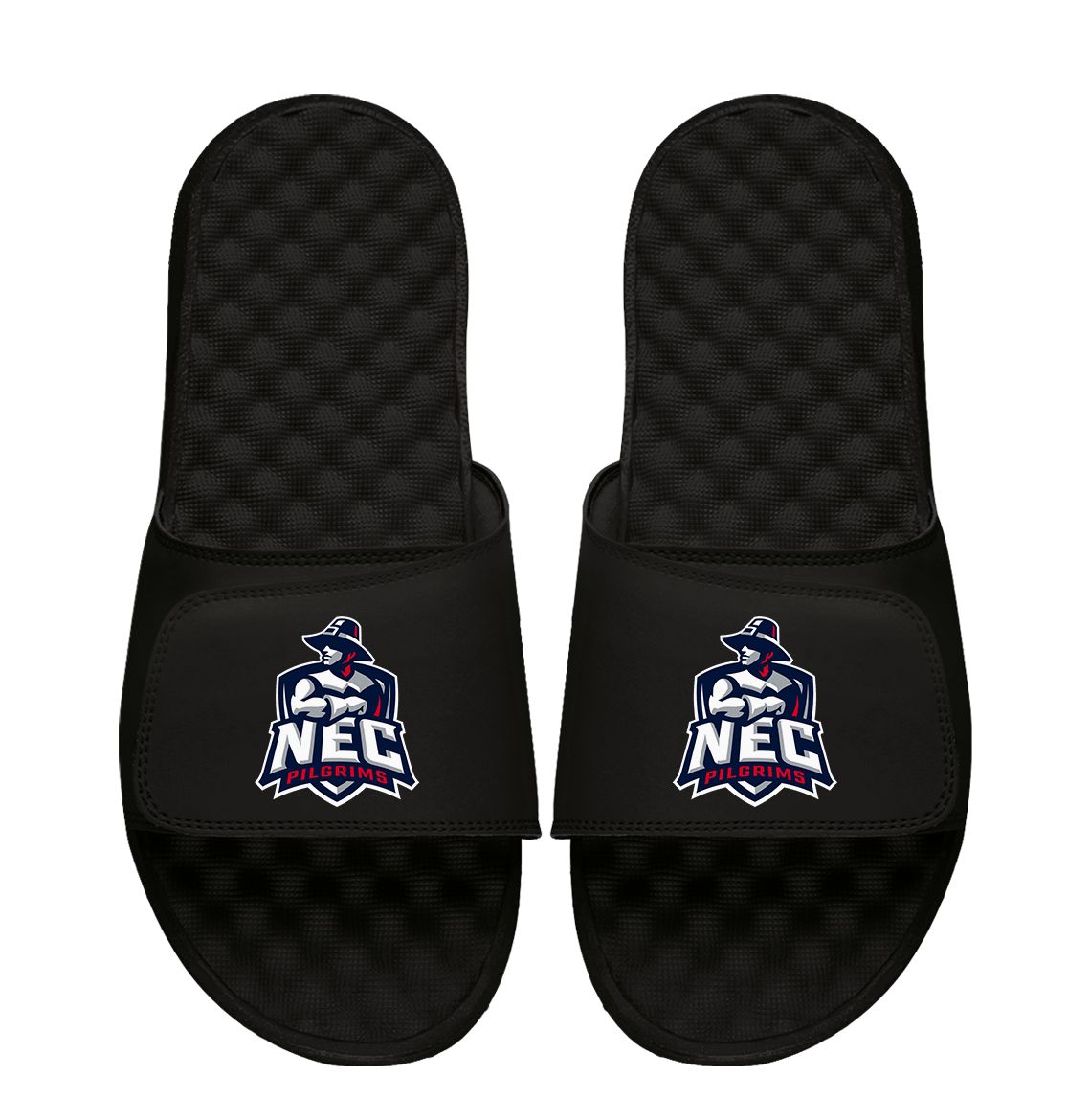 New England College Primary