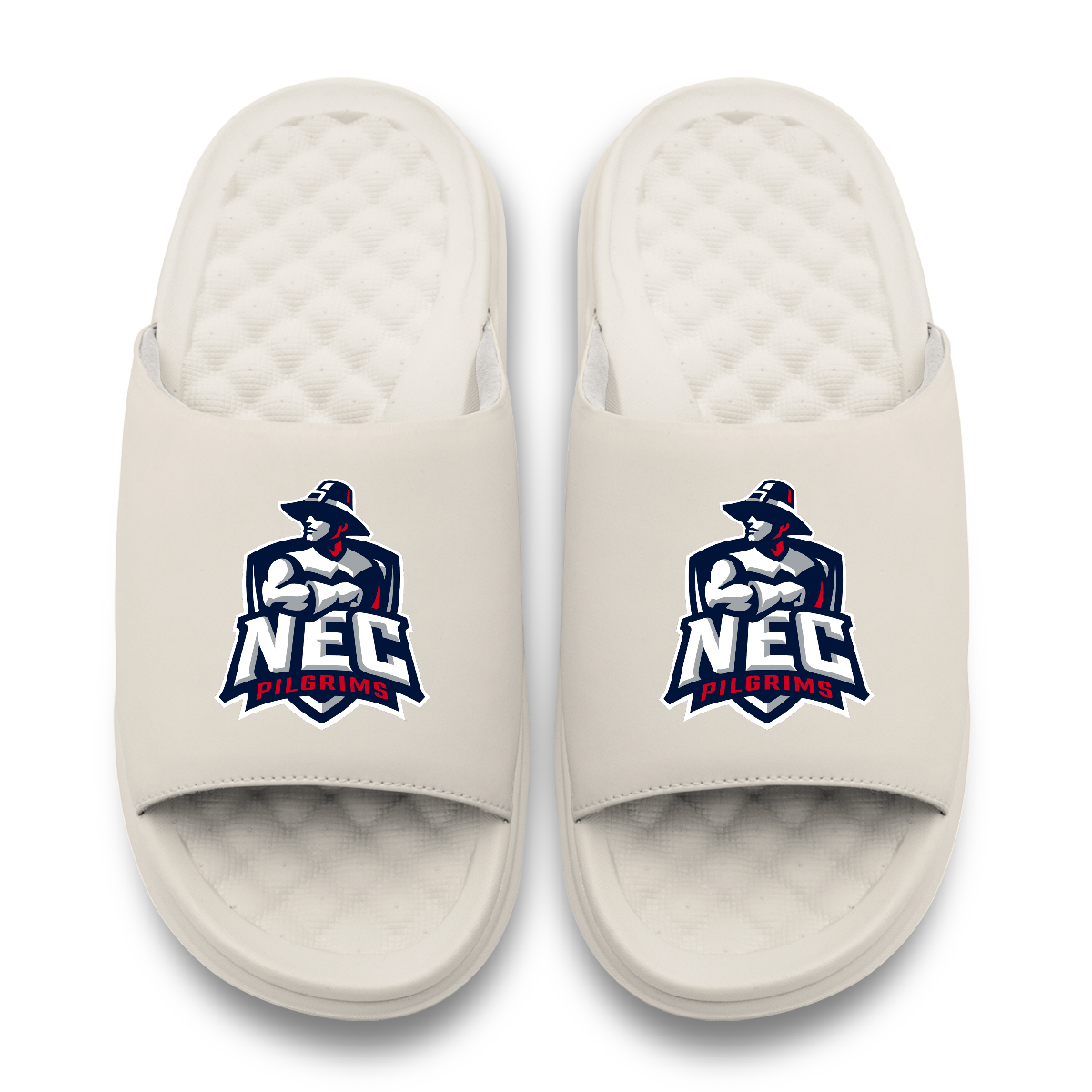 New England Primary Motive