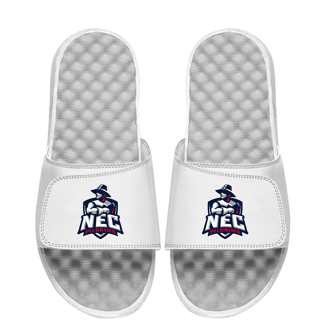 New England College Primary