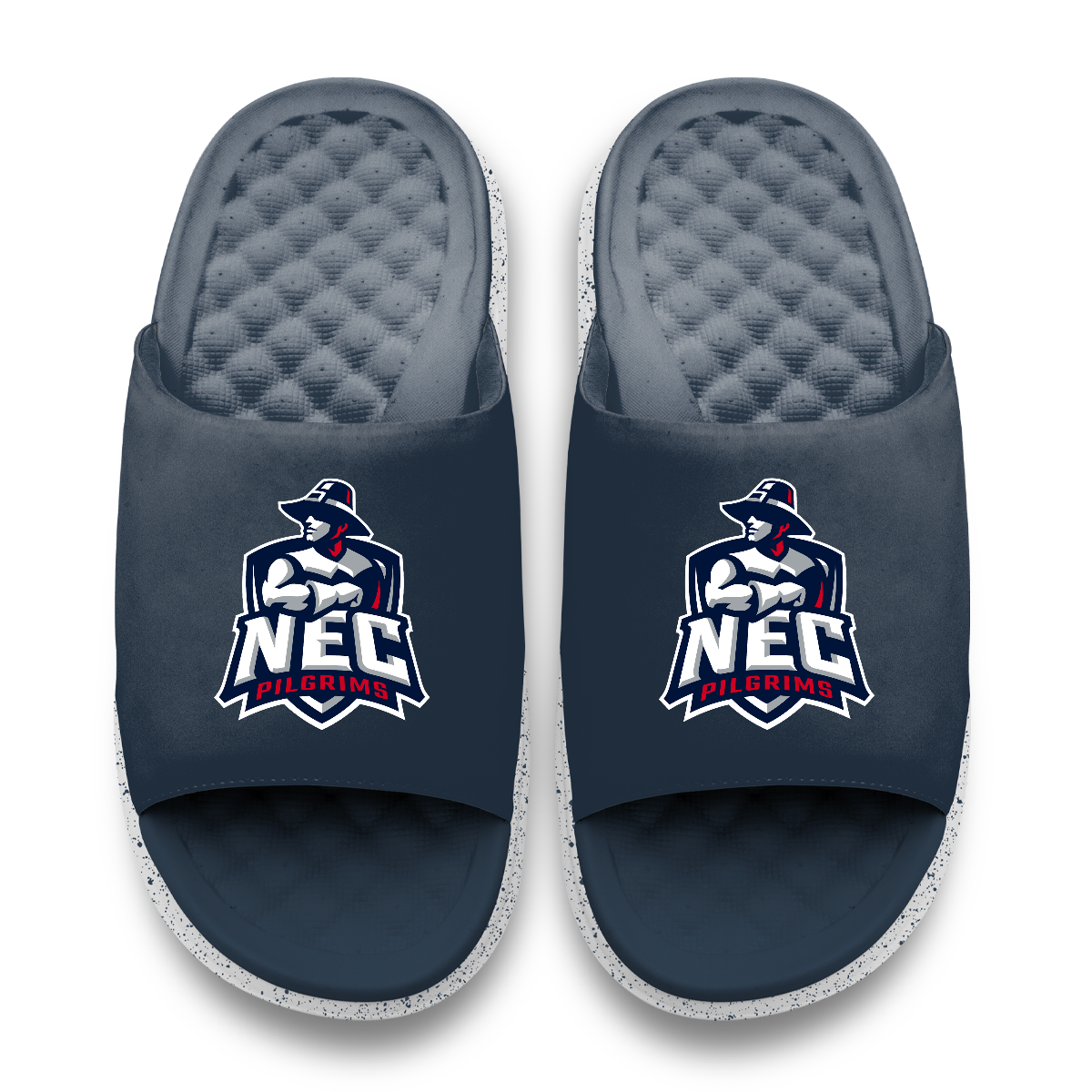 New England Primary Motive