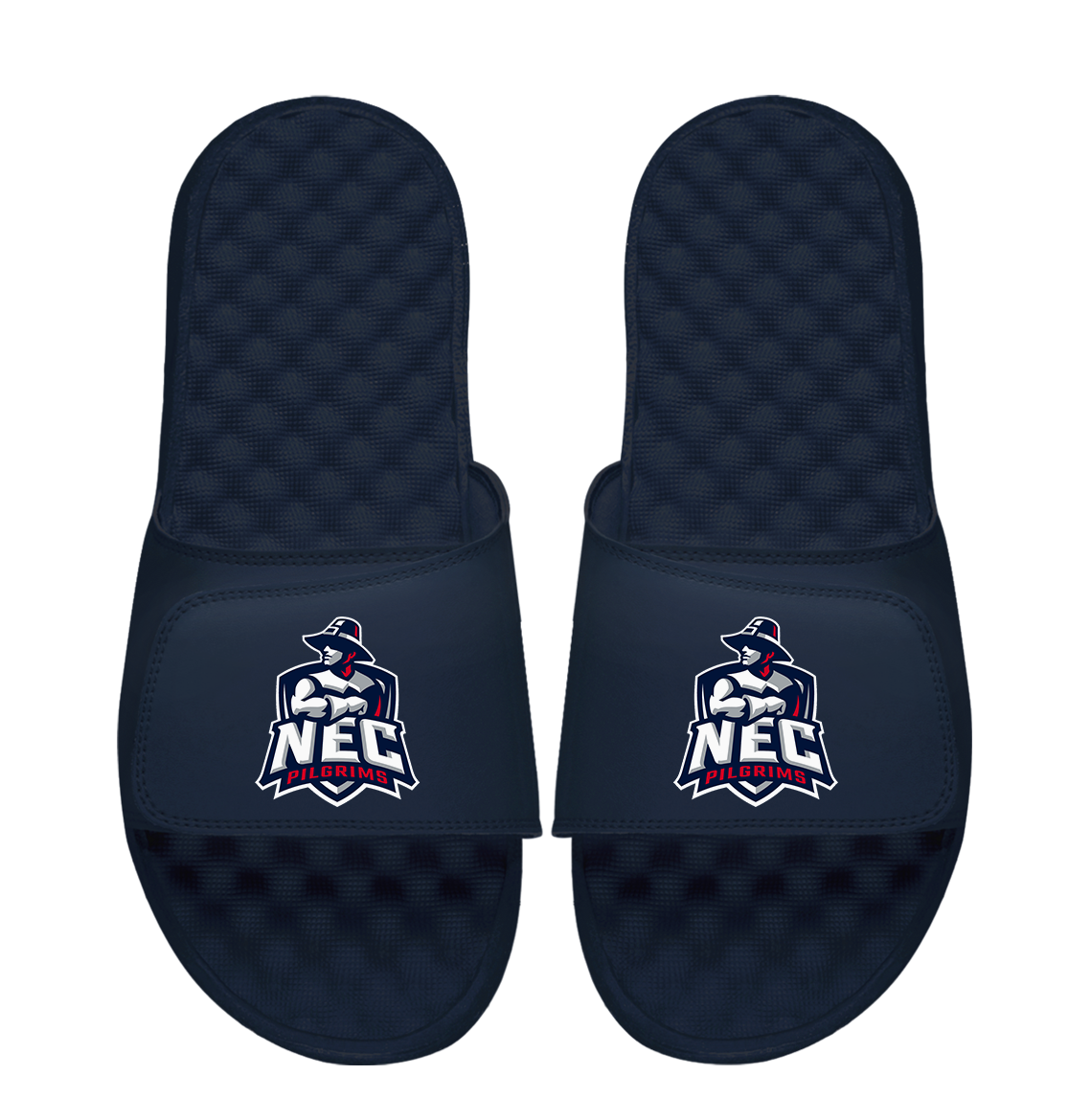 New England College Primary