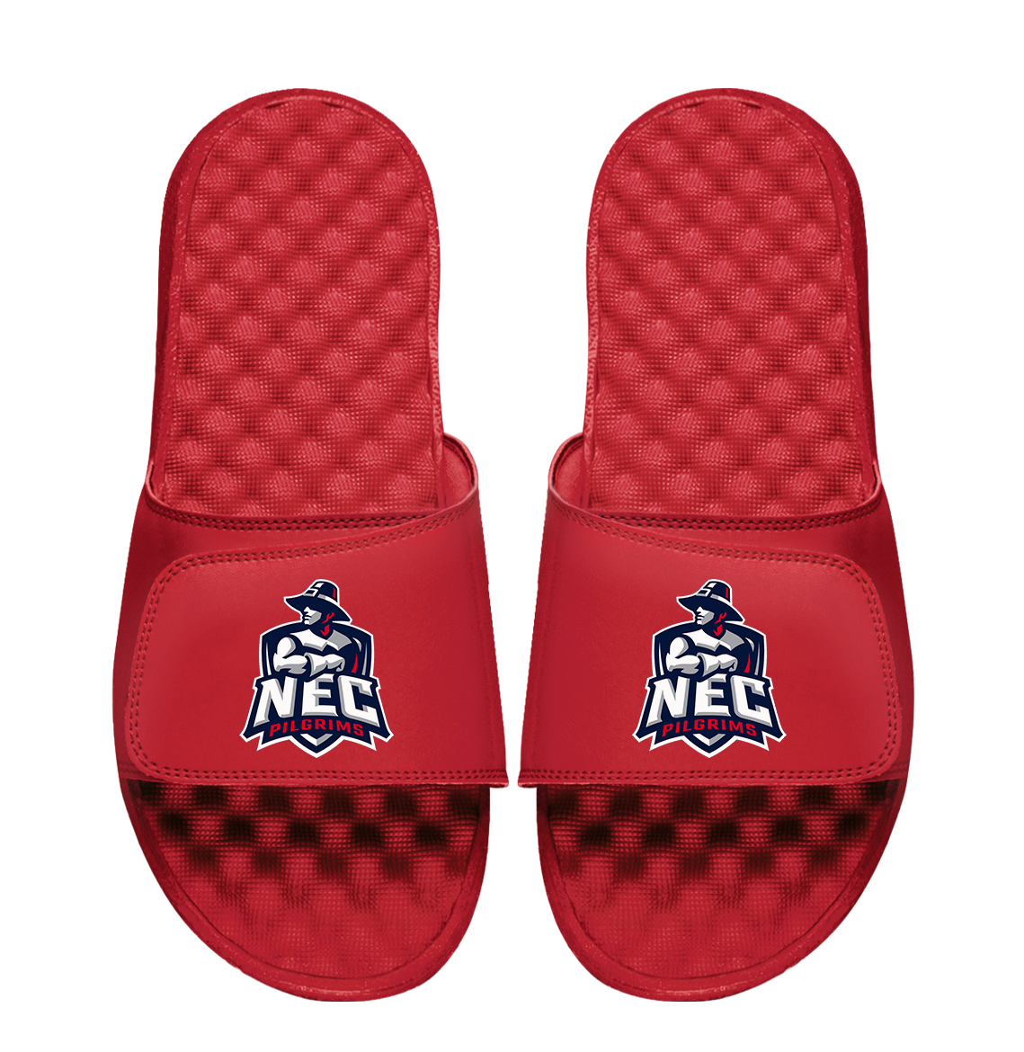 New England College Primary