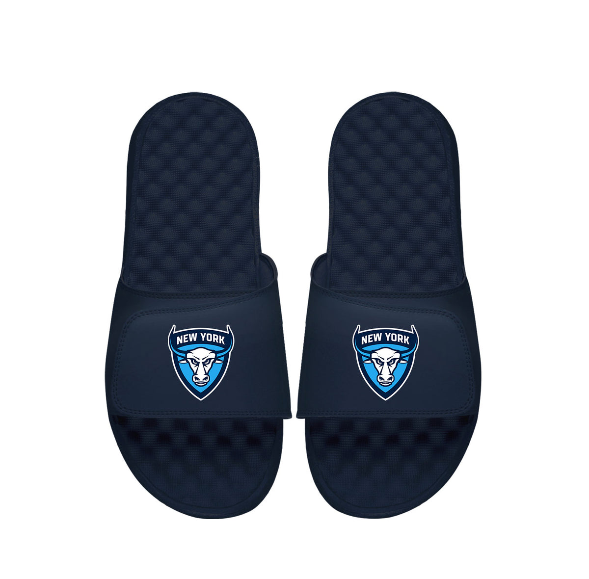 New York Atlas Primary