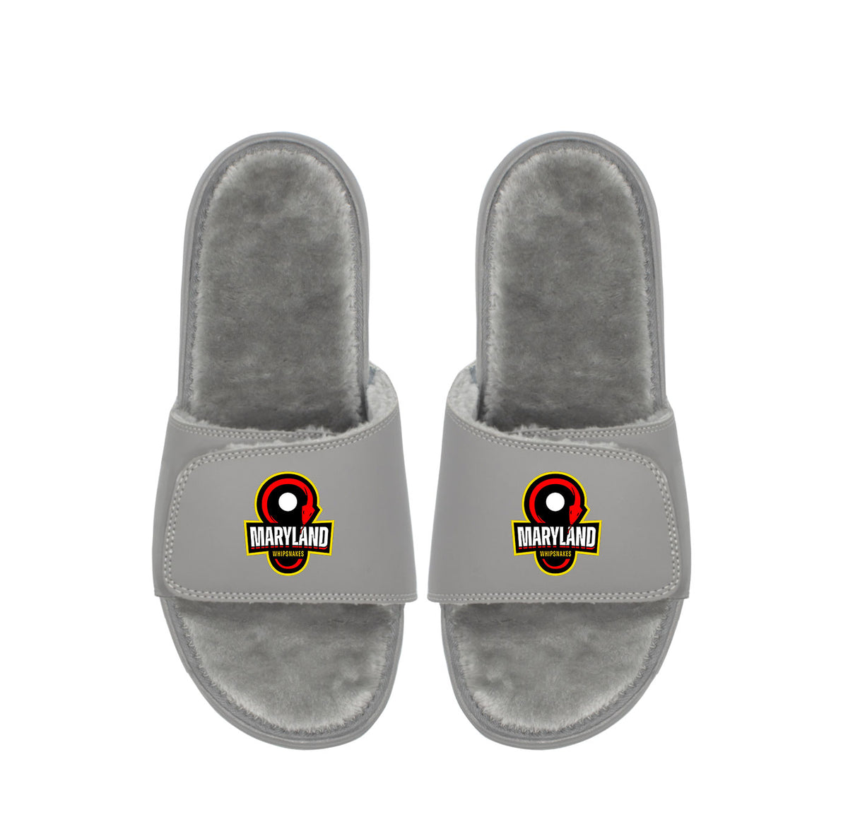 Maryland Whipsnakes Primary Fur ISlide maryland-whipsnakes-primary-fur-islide