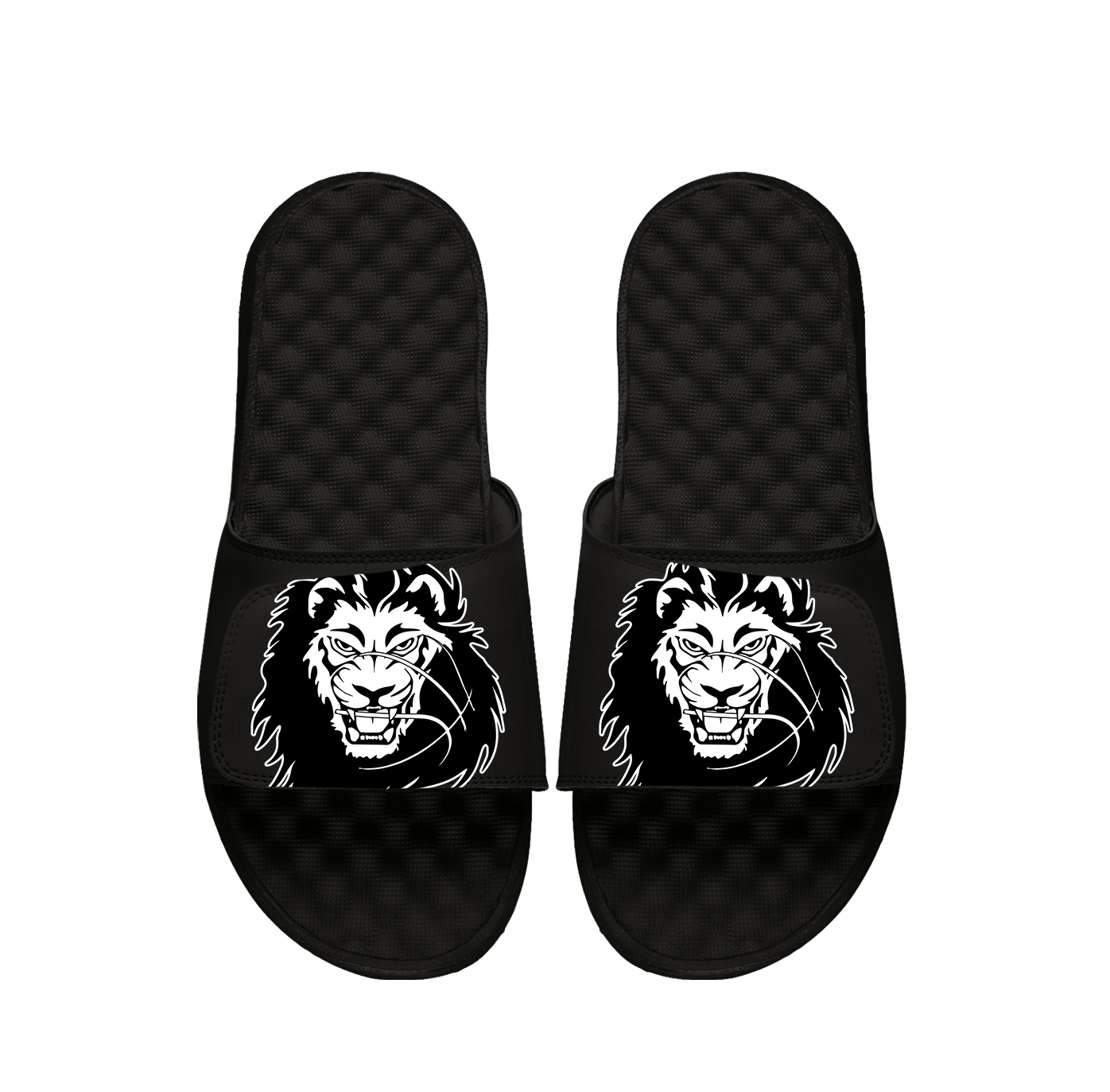 Lions Basketball Blown Up PERSONALIZE Slides
