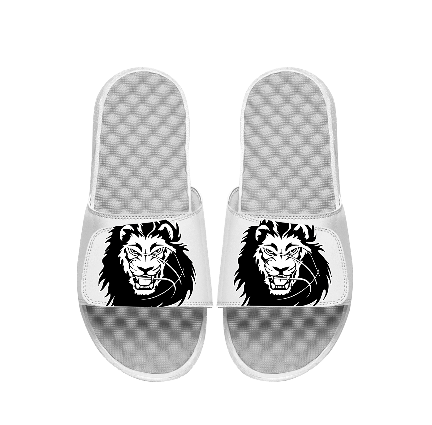 Lions Basketball Blown Up PERSONALIZE Slides