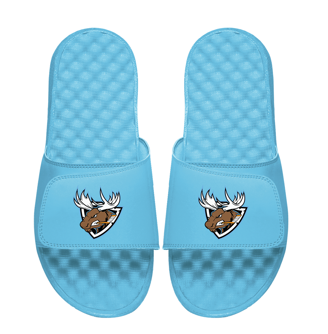 Rocky Mountain Moose Hockey Head