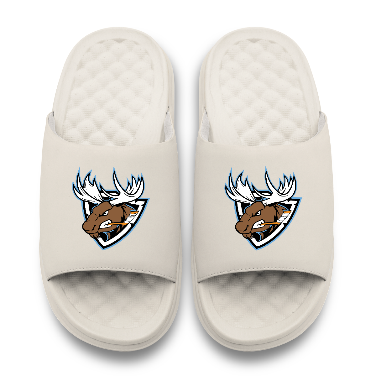 Rocky Mountain Moose Hockey Head Motive