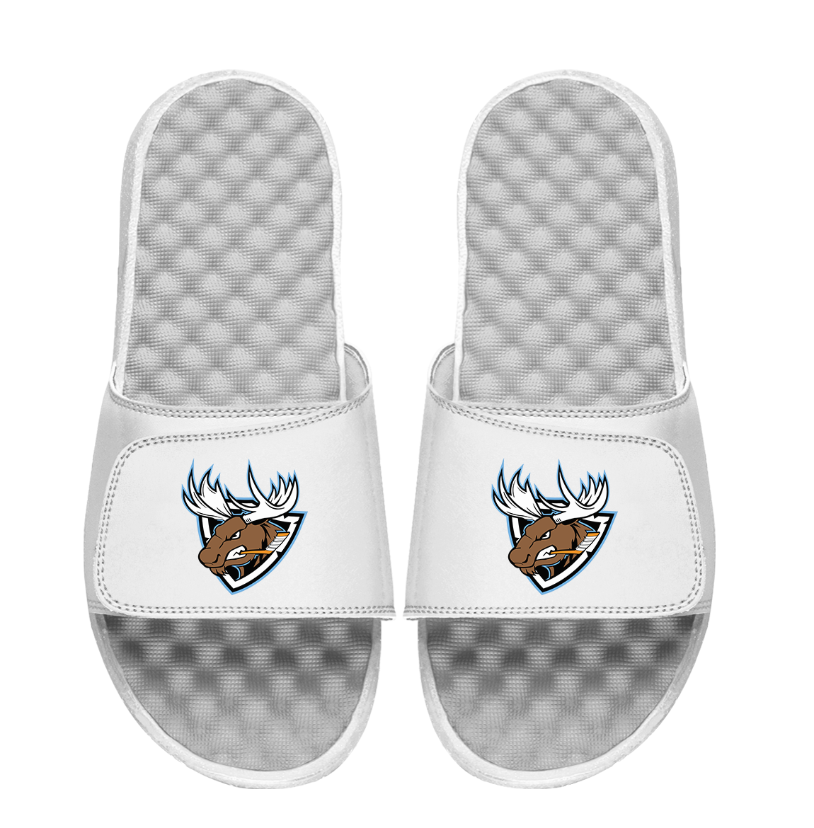 Rocky Mountain Moose Hockey Head