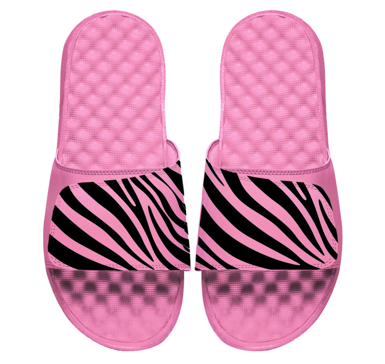 Zebra Slides