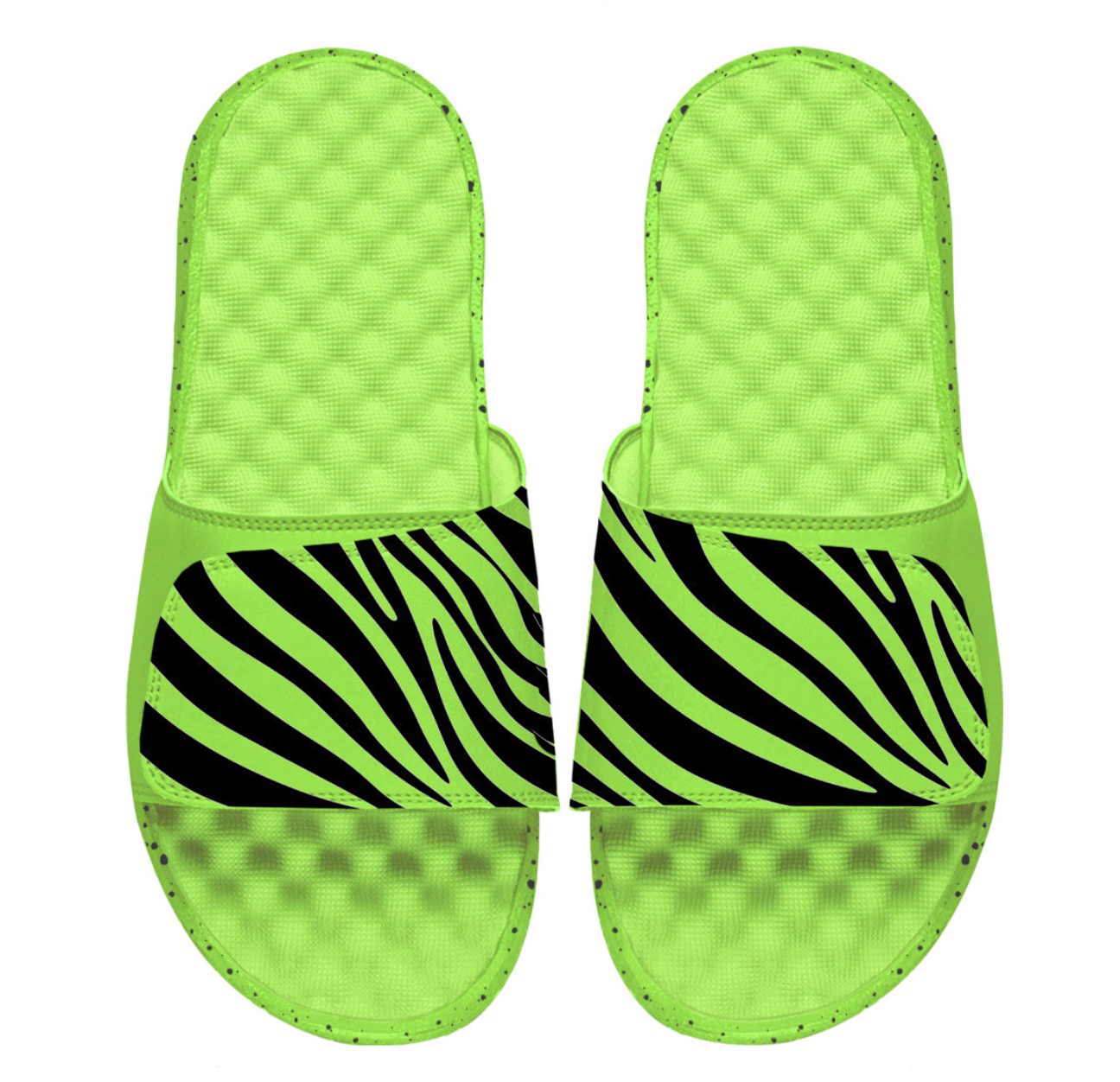 Zebra Slides