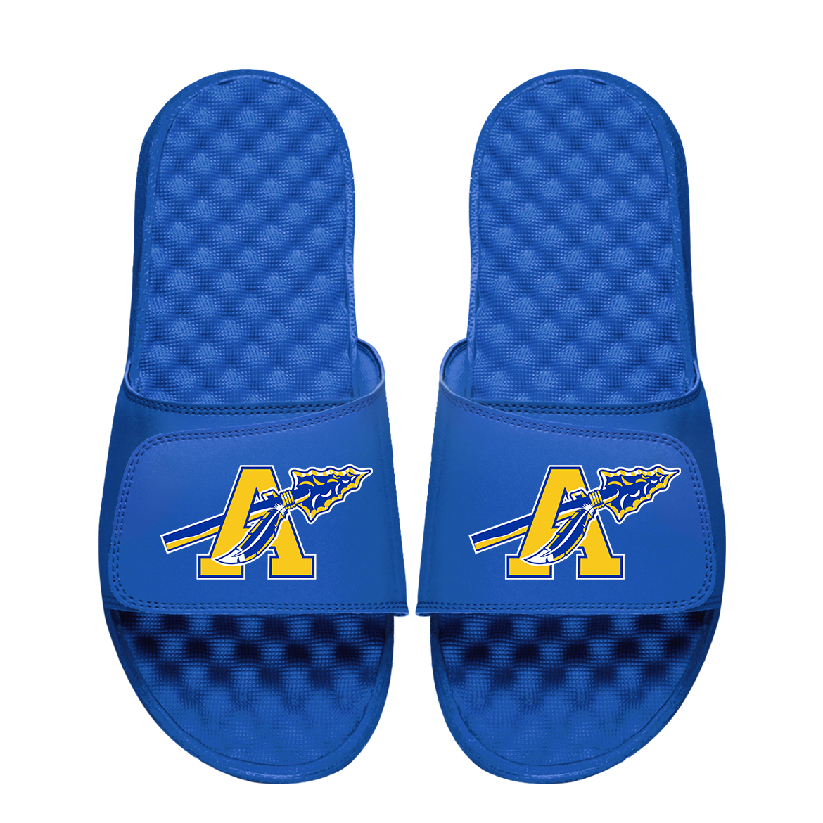 Assabet Valley Primary