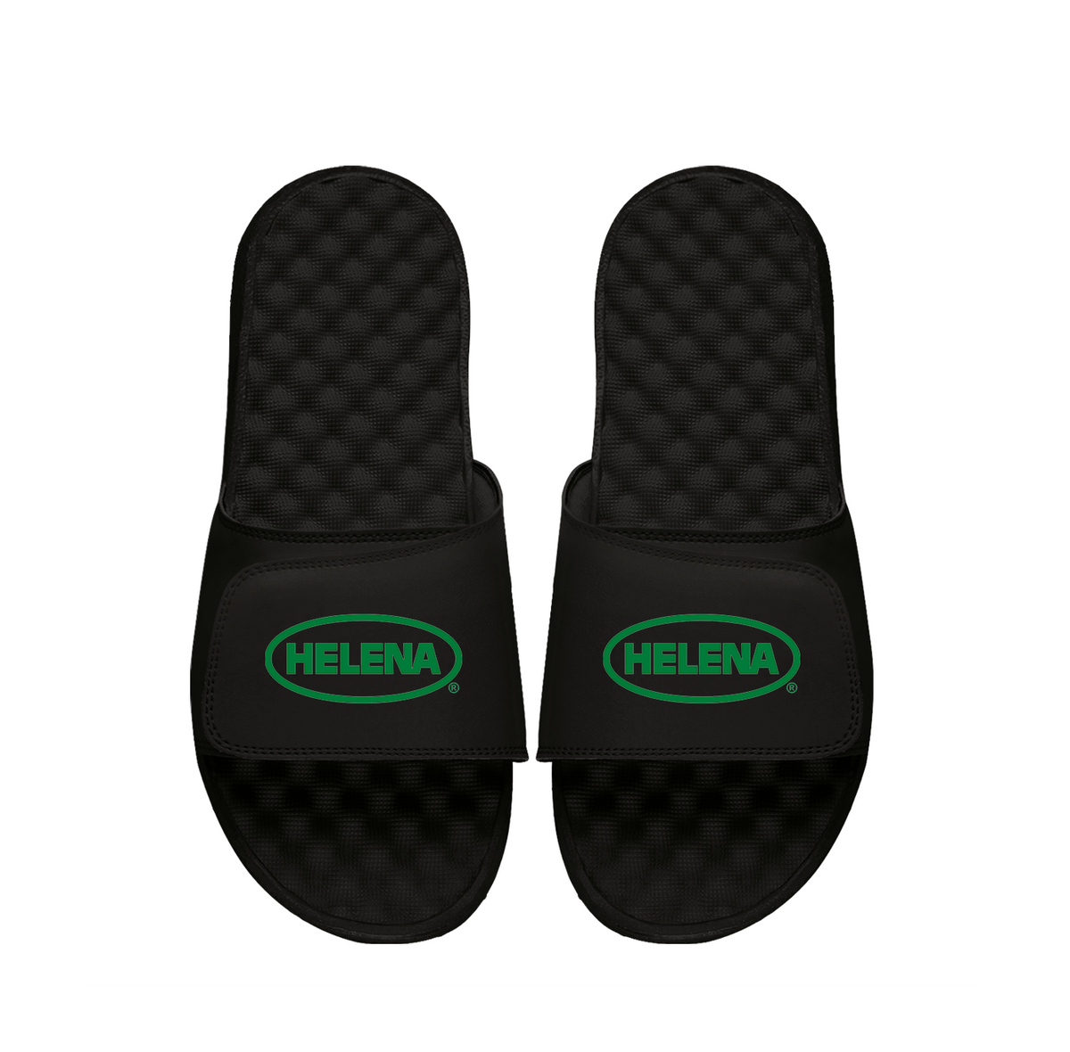 Helena Primary Black Slides