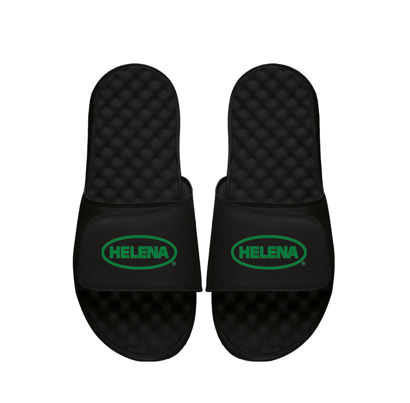 Helena Primary Black Slides