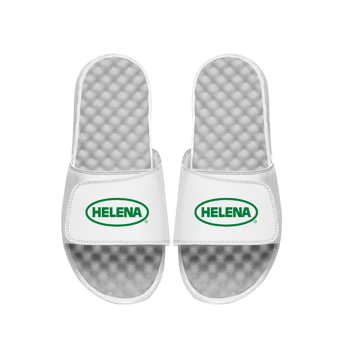 Helena Primary Great White Slides