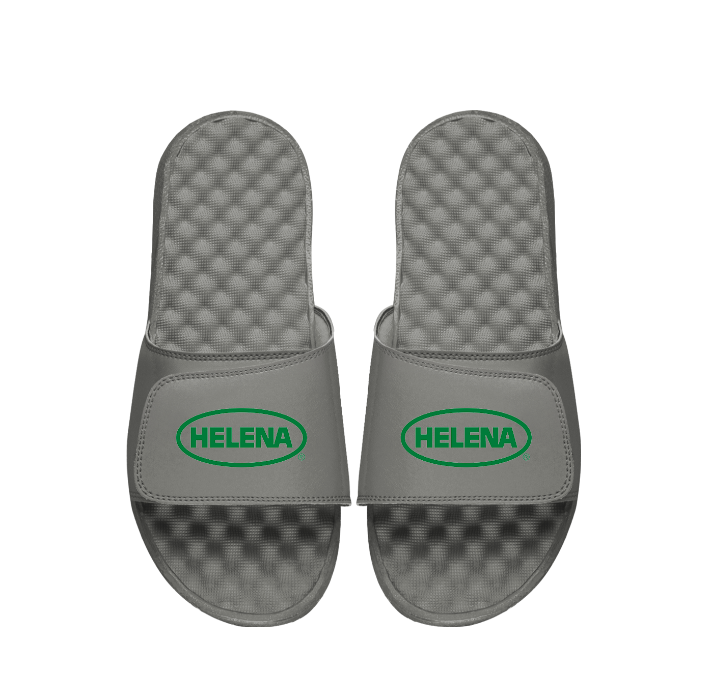 Helena Primary Grey Slides