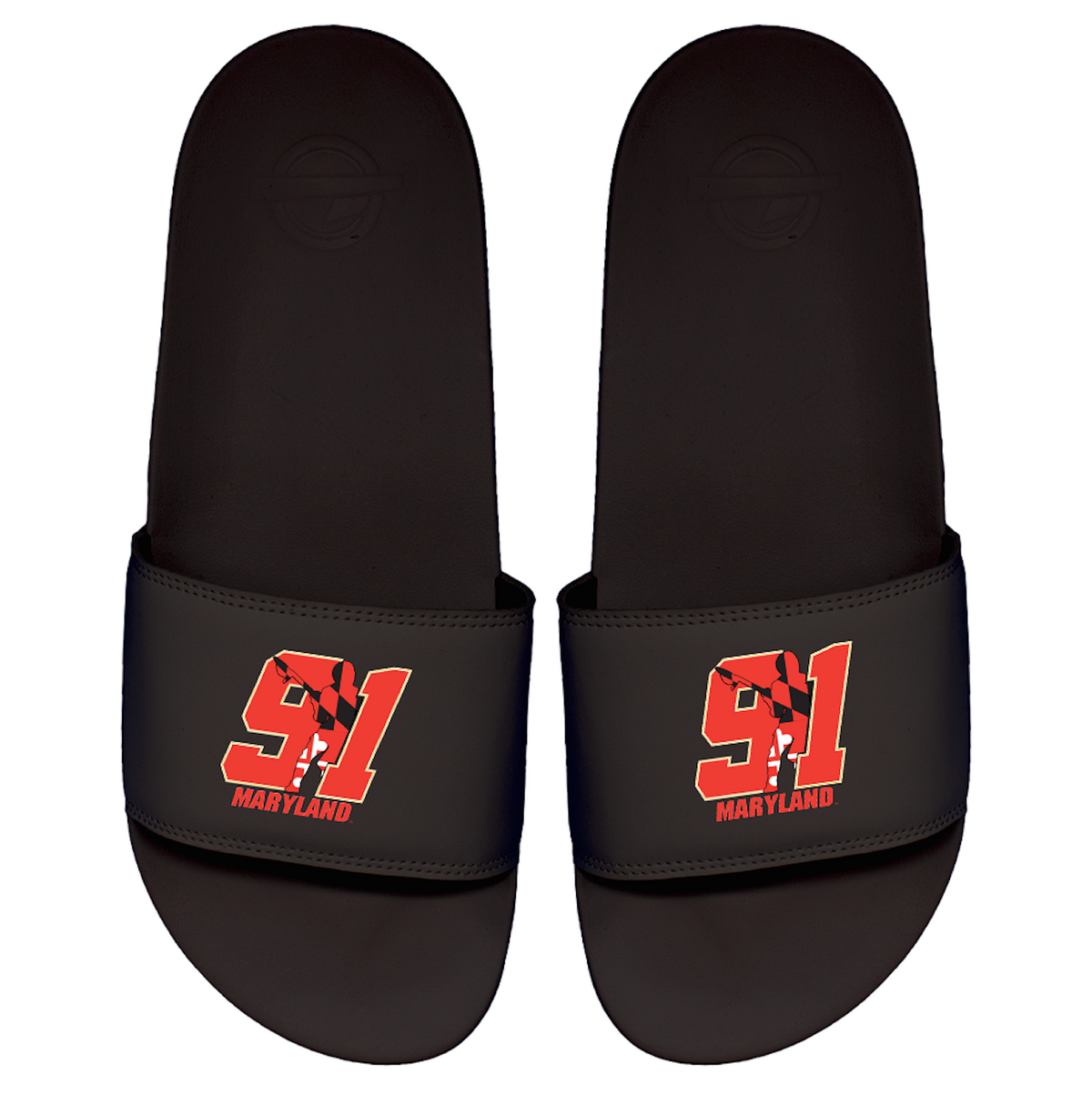 Team 91 Maryland Primary Motto