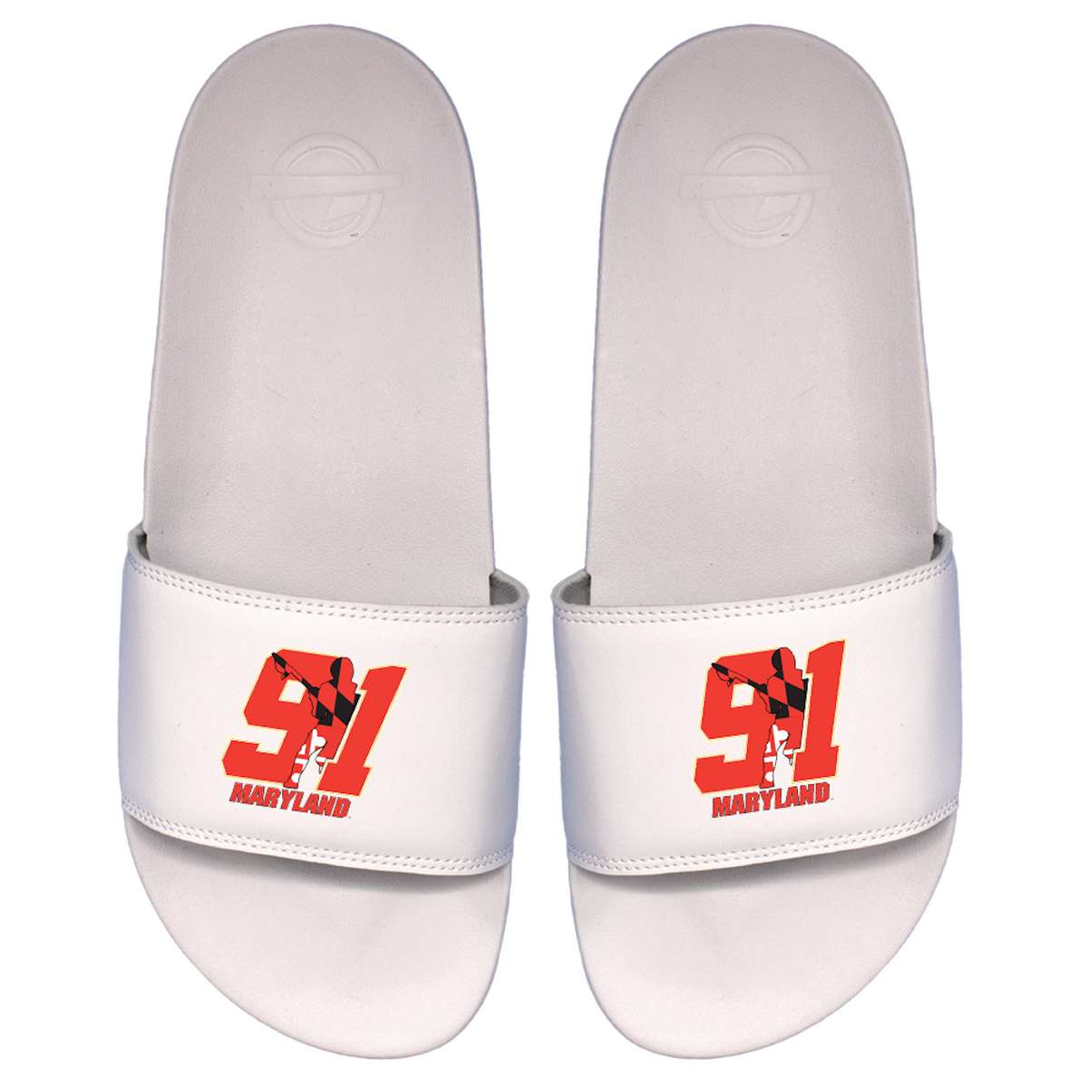 Team 91 Maryland Primary Motto