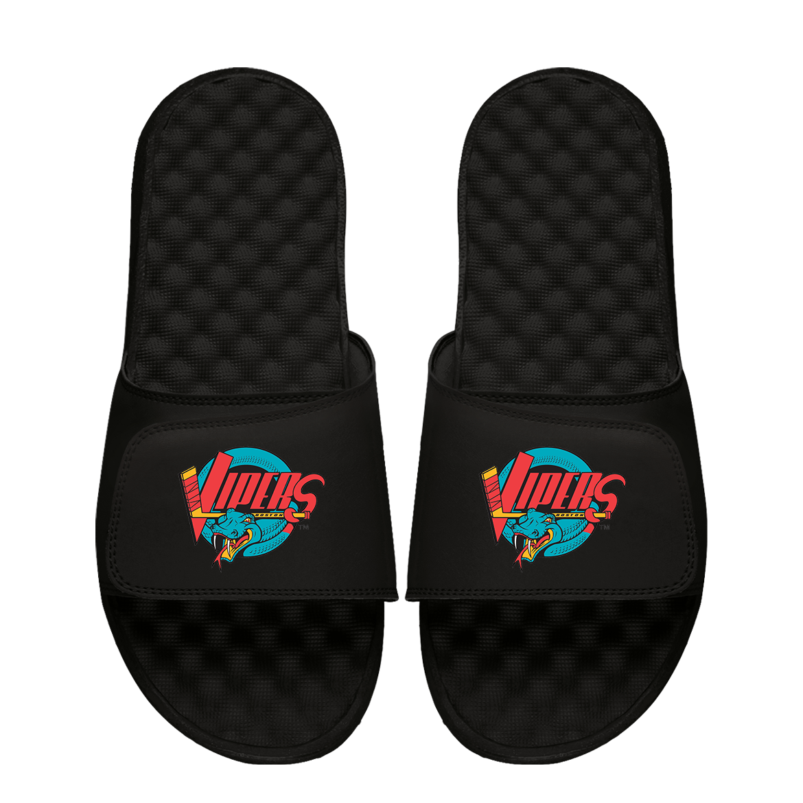 Vipers Ice Hockey Primary