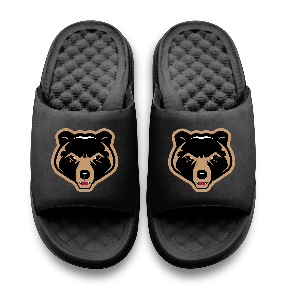 Take One Bears Motive