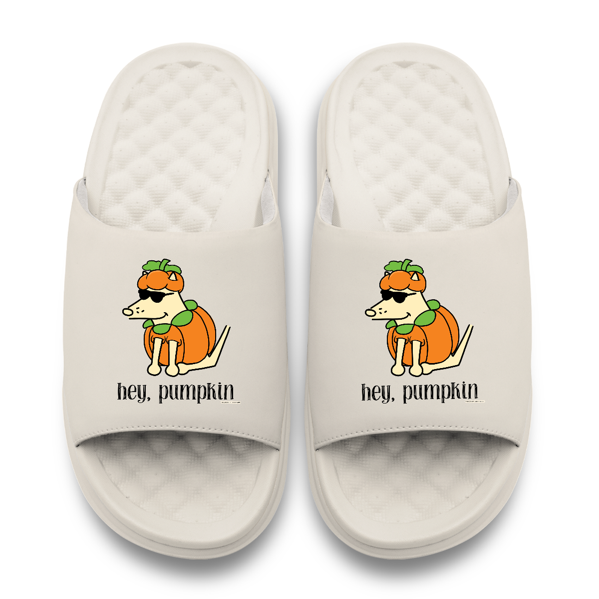 Hey Pumpkin Teddy The Dog Motive