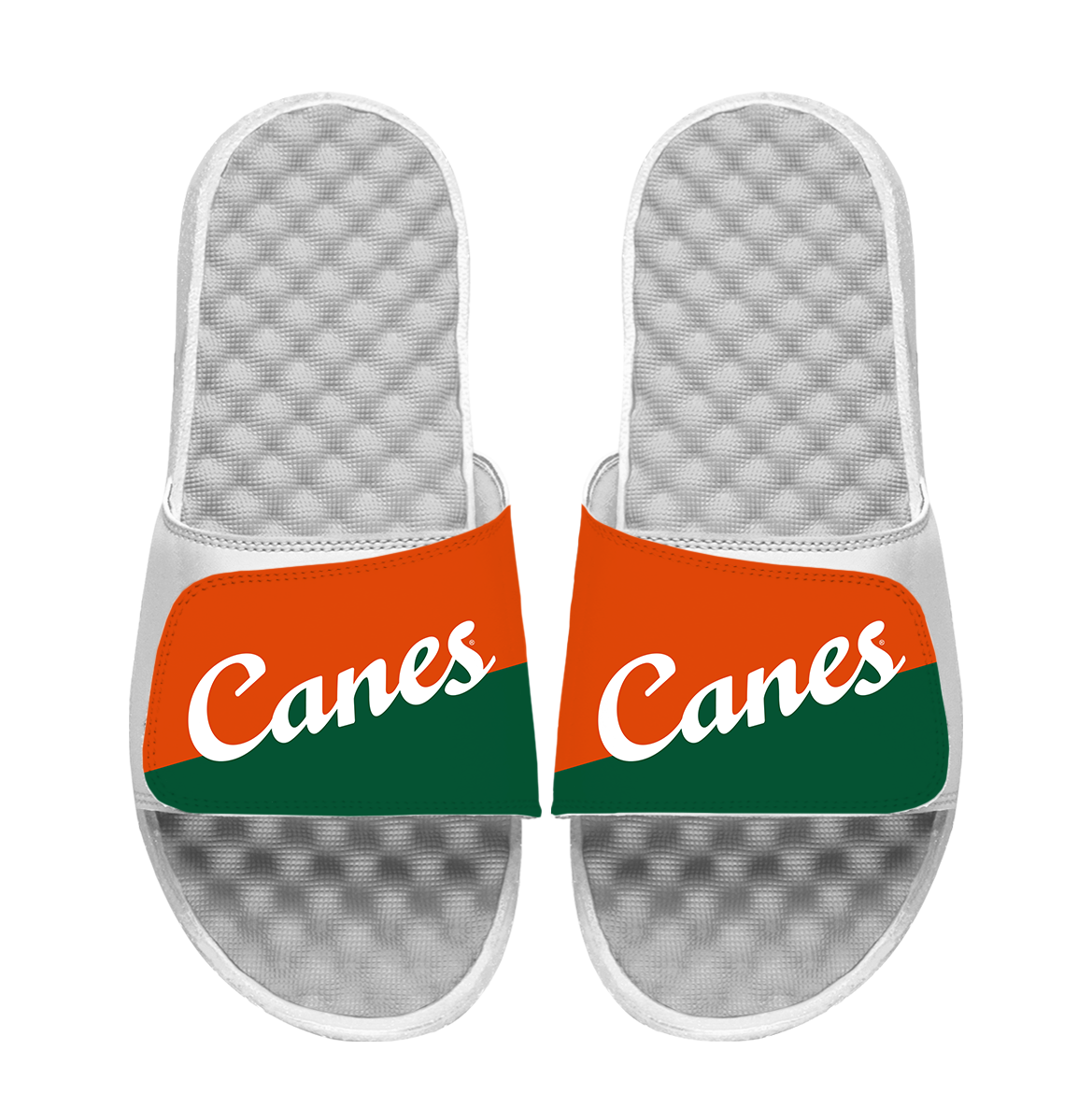 University of Miami Canes Script