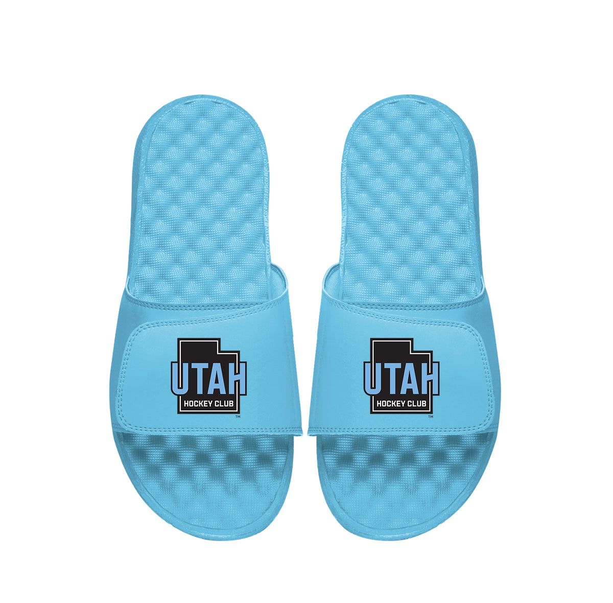 Utah Hockey Club Alt