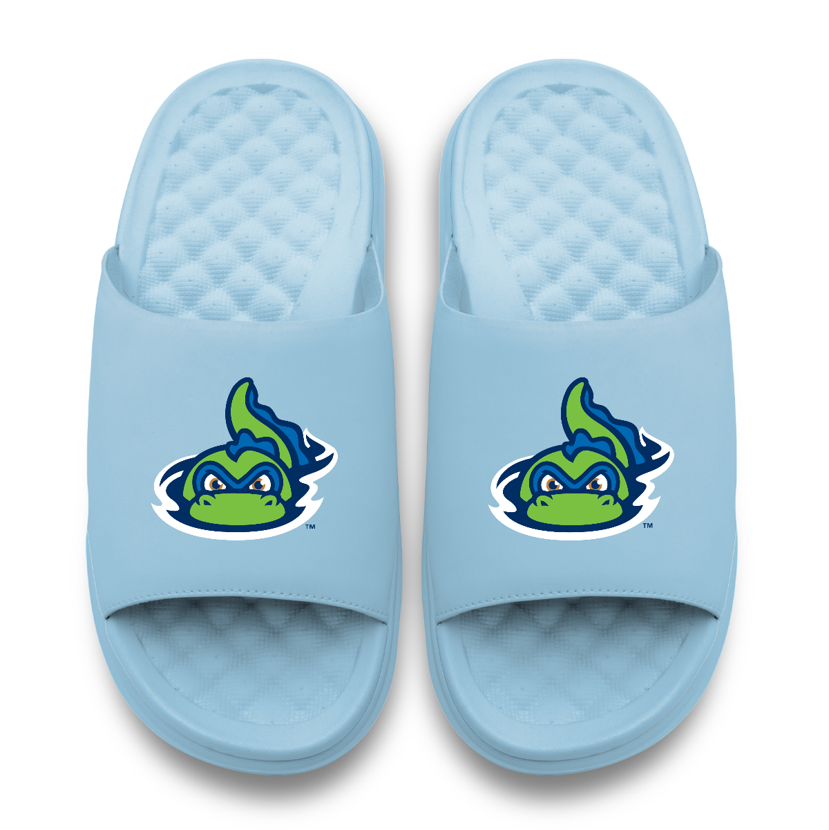 Vermont Lake Monsters Motive