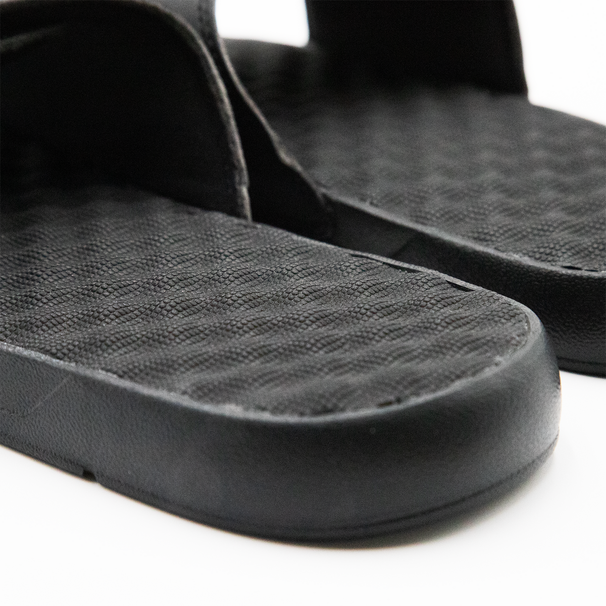 Bruins Year of the Snake