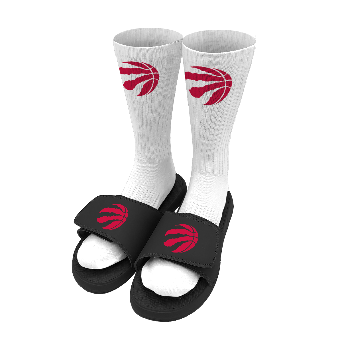 Raptors Primary Bundle