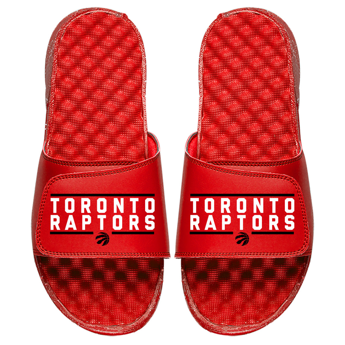 Toronto Raptors Bar Logo Slides