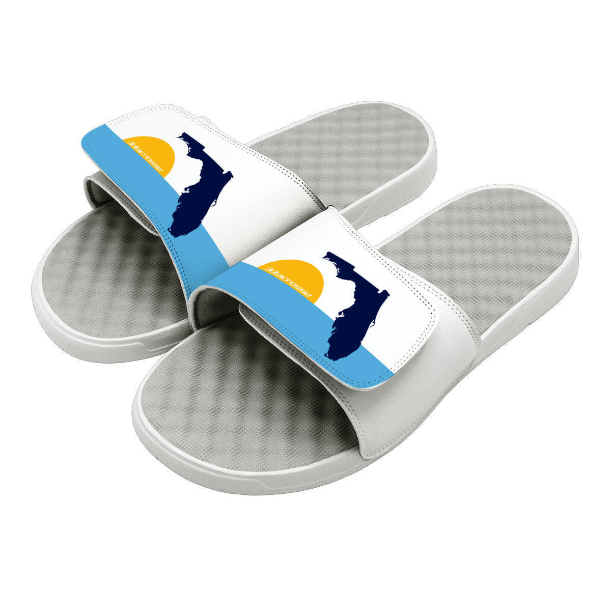 3D Lacrosse Florida Slides