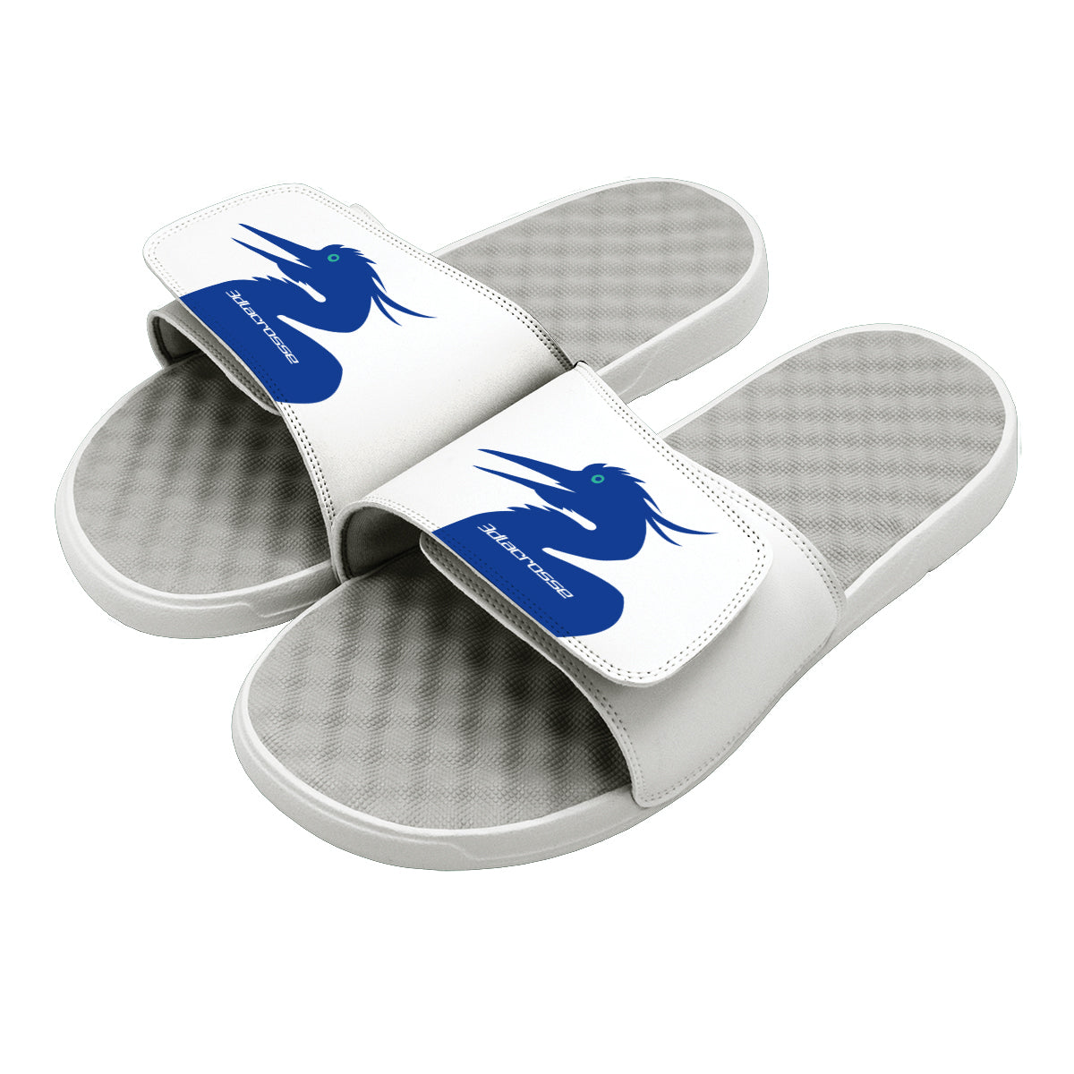 3D Lacrosse Maryland Slides