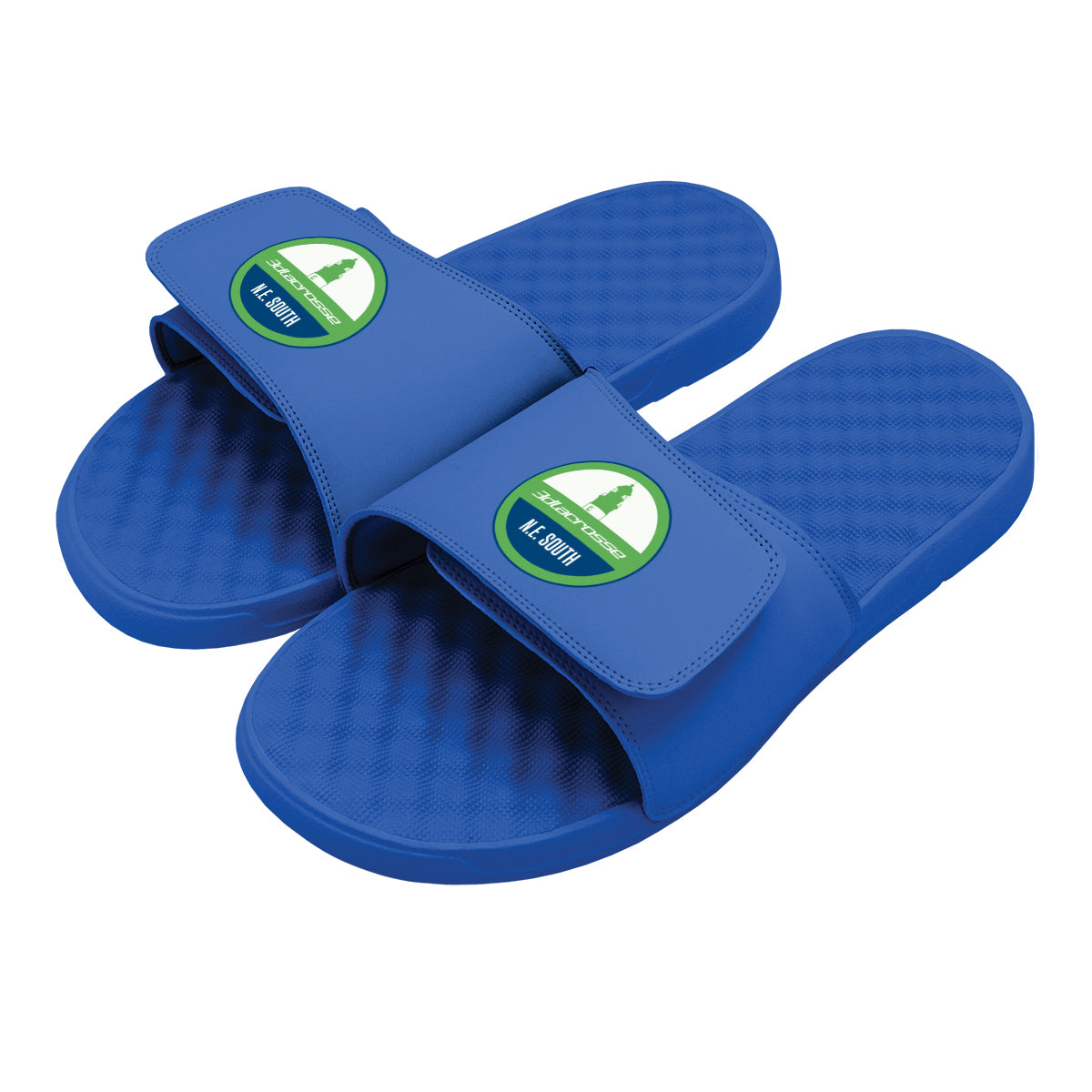 3D Lacrosse N.E. South Slides