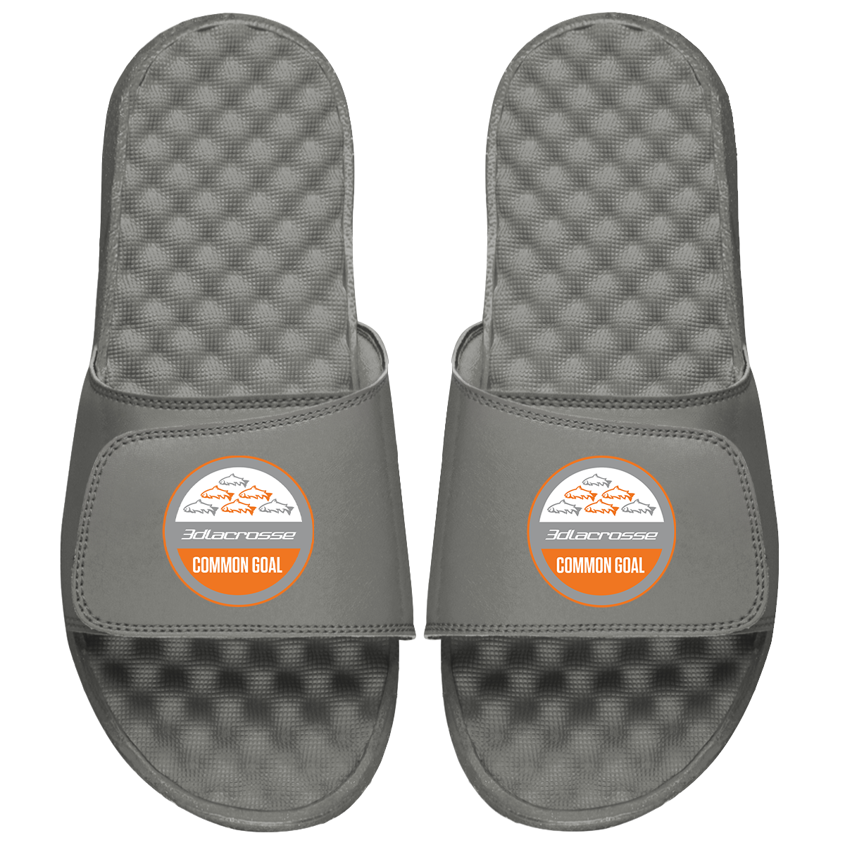 3d Common Goal Primary PERSONALIZE