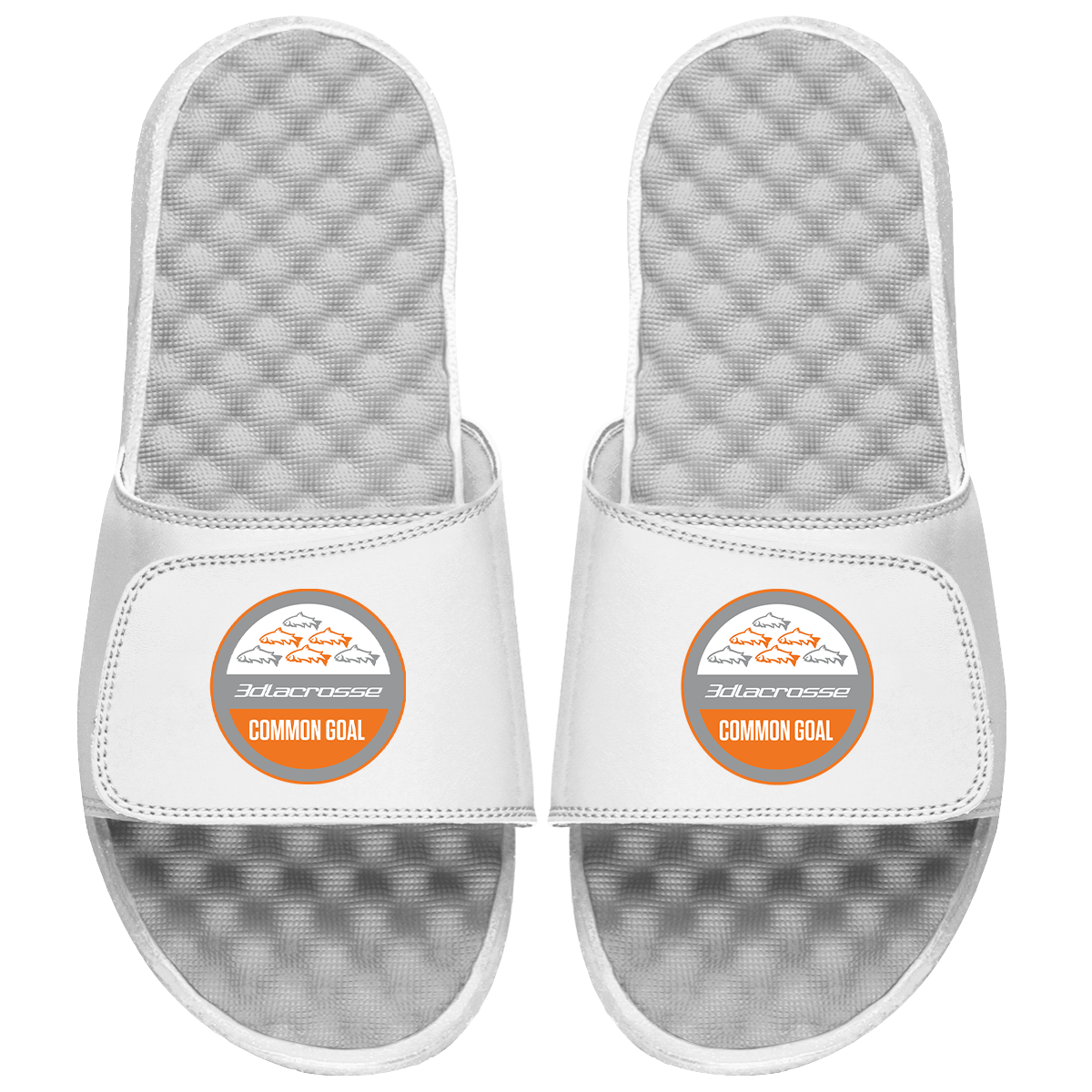 3d Common Goal Primary PERSONALIZE