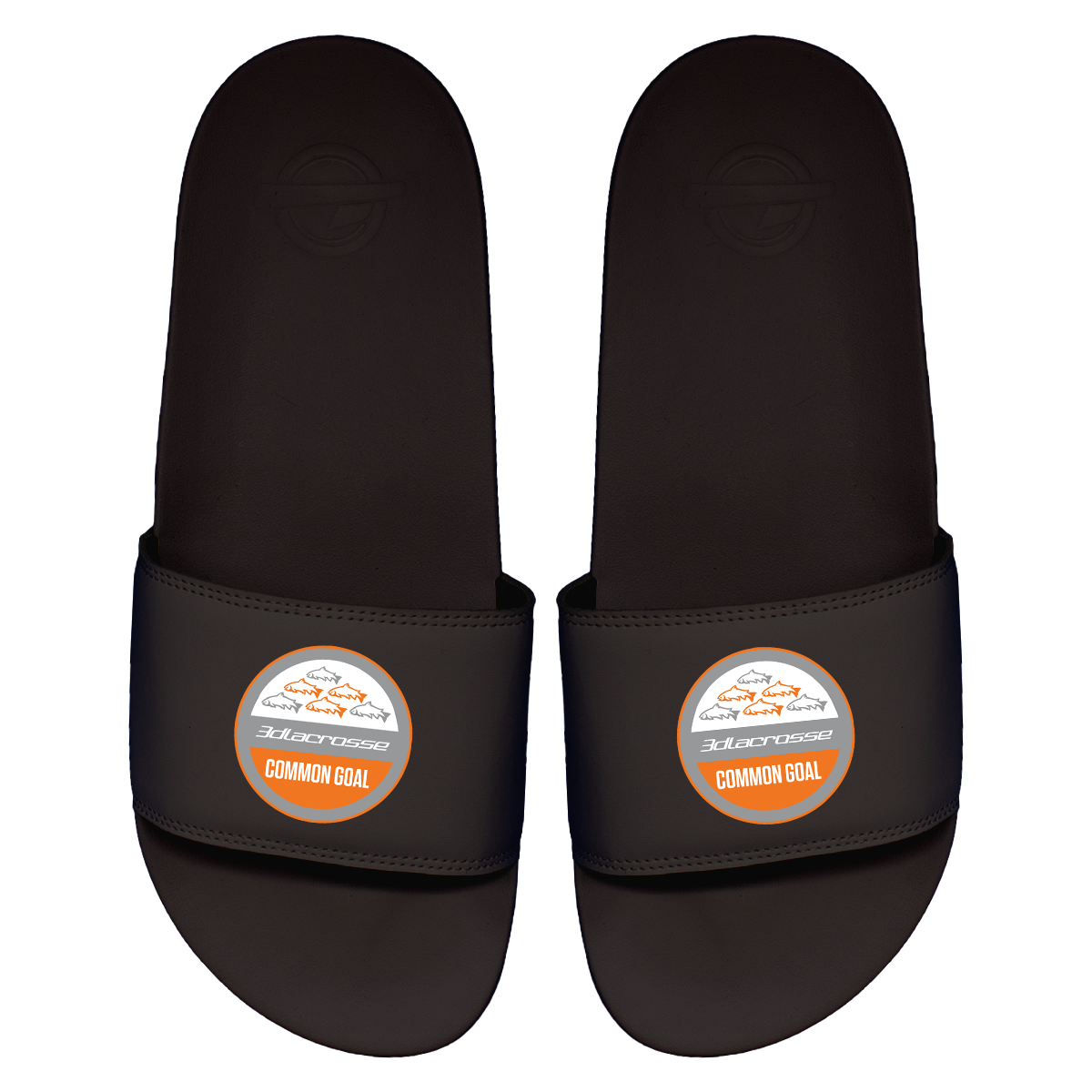 3d Common Goal Primary Motto