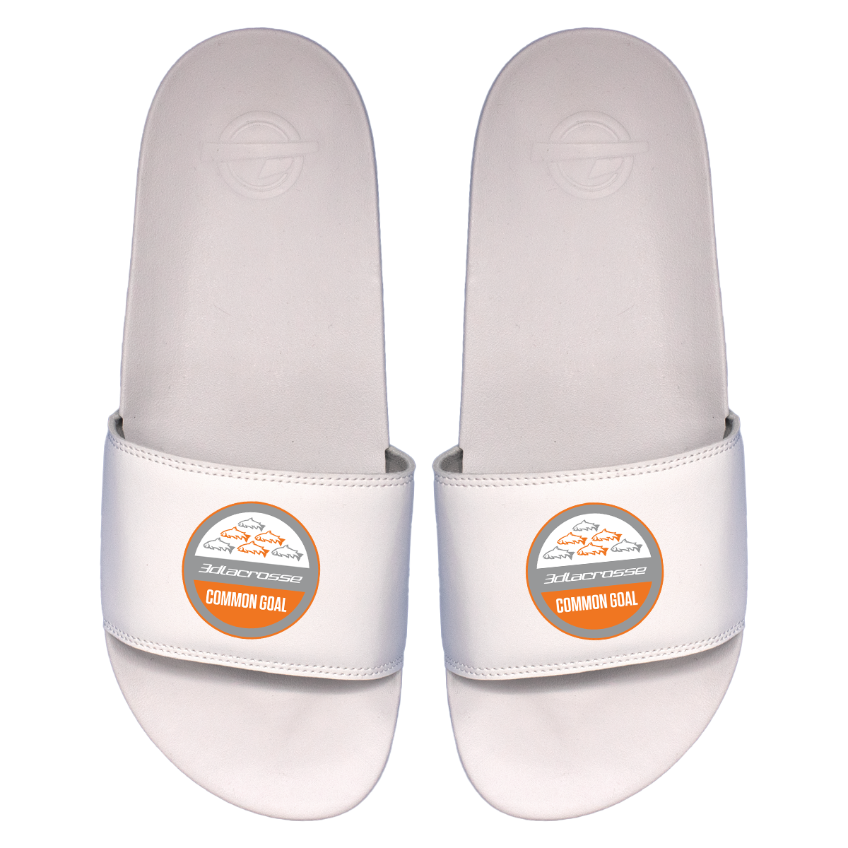 3d Common Goal Primary Motto